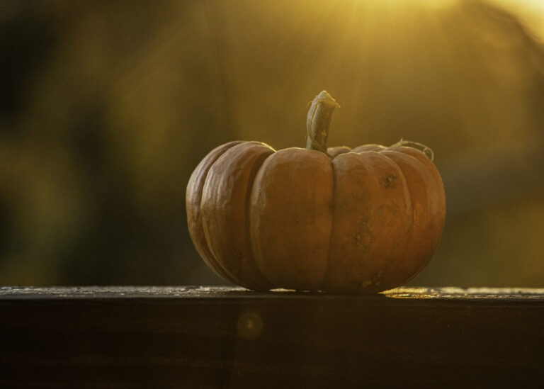 pumpkin_29065dc