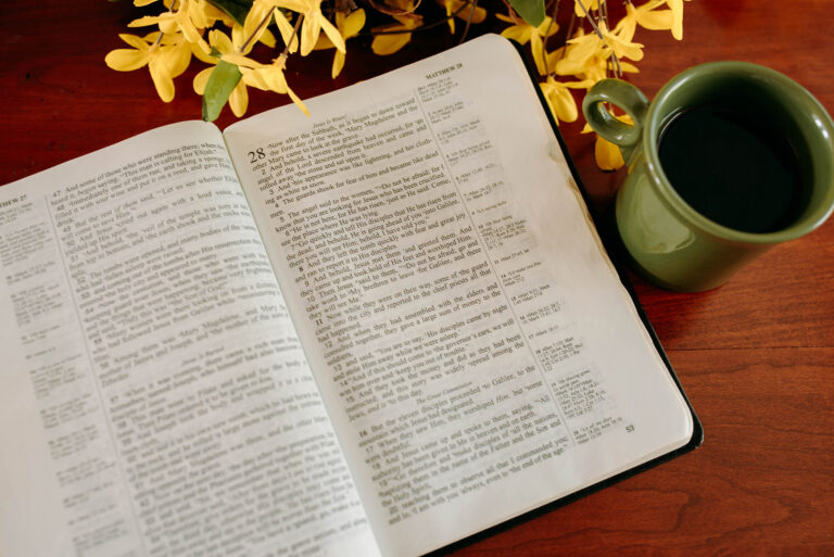 bible_31380bc