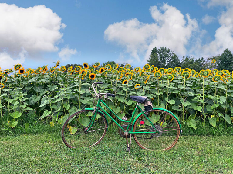bike_28654bc