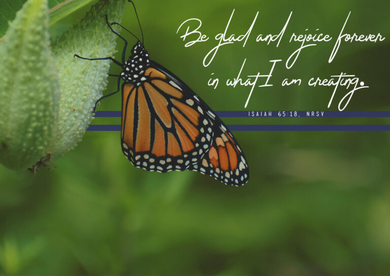 monarch_18649ac