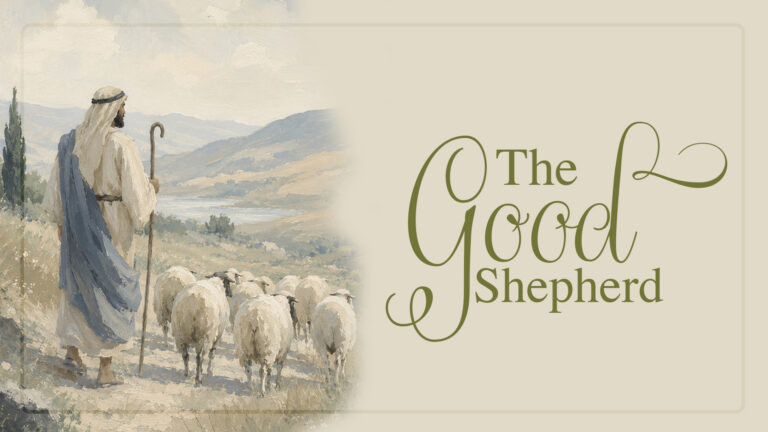 shepherd_31558apc